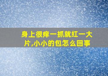 身上很痒一抓就红一大片,小小的包怎么回事