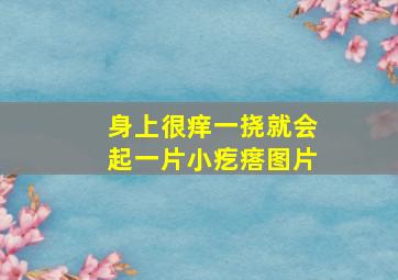 身上很痒一挠就会起一片小疙瘩图片