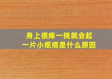 身上很痒一挠就会起一片小疙瘩是什么原因