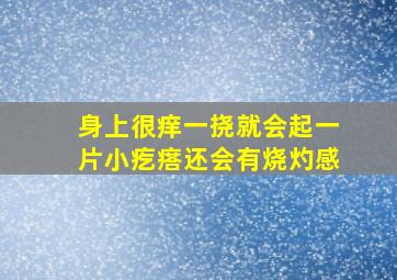 身上很痒一挠就会起一片小疙瘩还会有烧灼感