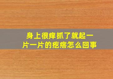 身上很痒抓了就起一片一片的疙瘩怎么回事