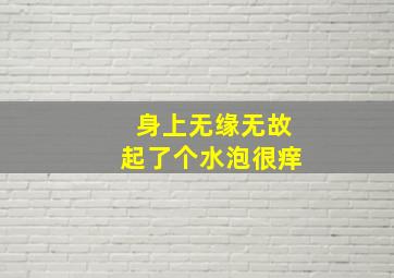 身上无缘无故起了个水泡很痒