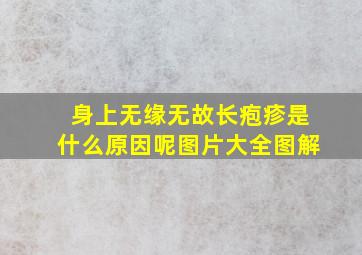 身上无缘无故长疱疹是什么原因呢图片大全图解