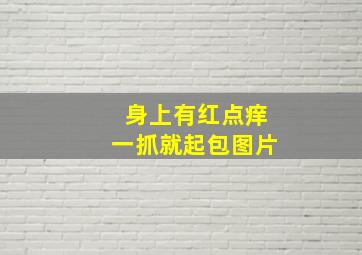 身上有红点痒一抓就起包图片