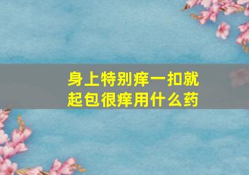 身上特别痒一扣就起包很痒用什么药