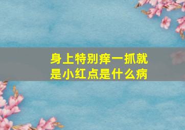 身上特别痒一抓就是小红点是什么病