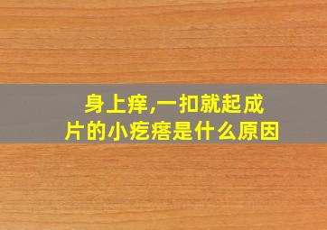 身上痒,一扣就起成片的小疙瘩是什么原因