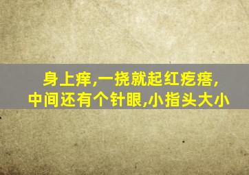 身上痒,一挠就起红疙瘩,中间还有个针眼,小指头大小