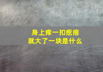 身上痒一扣疙瘩就大了一块是什么