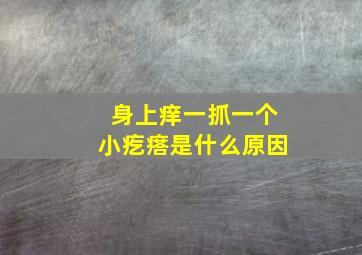 身上痒一抓一个小疙瘩是什么原因