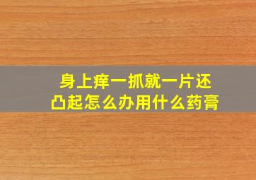 身上痒一抓就一片还凸起怎么办用什么药膏