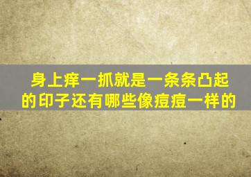 身上痒一抓就是一条条凸起的印子还有哪些像痘痘一样的