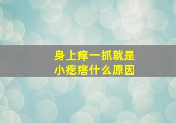 身上痒一抓就是小疙瘩什么原因