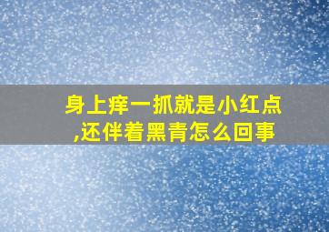 身上痒一抓就是小红点,还伴着黑青怎么回事