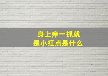 身上痒一抓就是小红点是什么