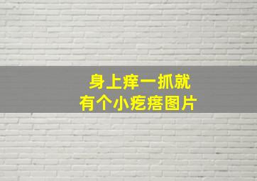 身上痒一抓就有个小疙瘩图片