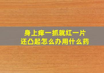 身上痒一抓就红一片还凸起怎么办用什么药