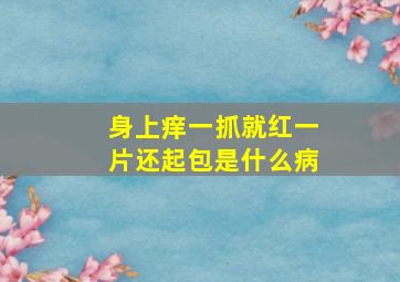 身上痒一抓就红一片还起包是什么病