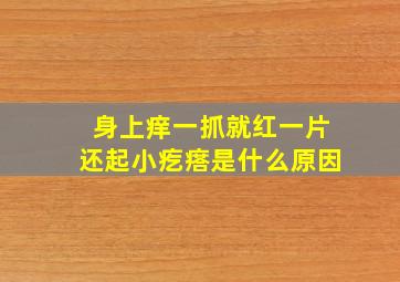 身上痒一抓就红一片还起小疙瘩是什么原因