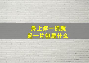 身上痒一抓就起一片包是什么