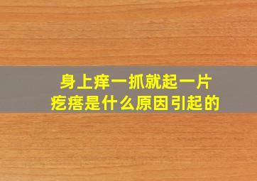 身上痒一抓就起一片疙瘩是什么原因引起的