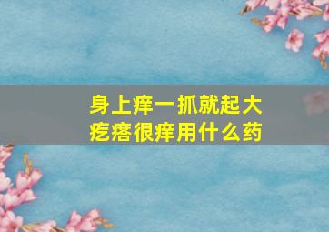 身上痒一抓就起大疙瘩很痒用什么药