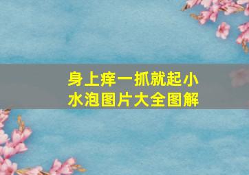 身上痒一抓就起小水泡图片大全图解