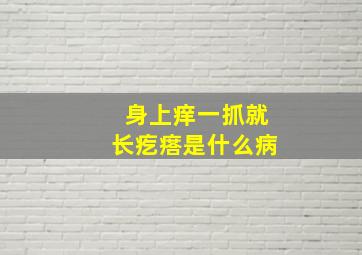 身上痒一抓就长疙瘩是什么病