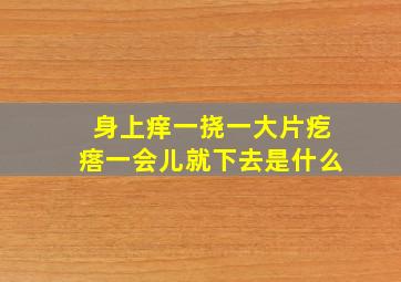 身上痒一挠一大片疙瘩一会儿就下去是什么