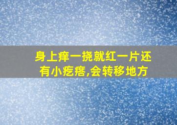 身上痒一挠就红一片还有小疙瘩,会转移地方