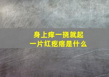 身上痒一挠就起一片红疙瘩是什么