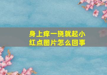 身上痒一挠就起小红点图片怎么回事