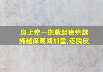 身上痒一挠就起疙瘩越挠越痒晚间加重,还脱皮