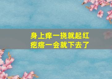 身上痒一挠就起红疙瘩一会就下去了