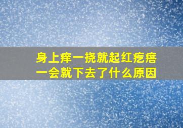 身上痒一挠就起红疙瘩一会就下去了什么原因