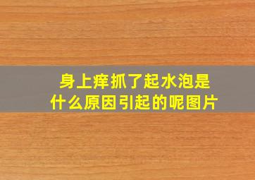 身上痒抓了起水泡是什么原因引起的呢图片