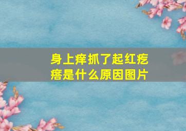 身上痒抓了起红疙瘩是什么原因图片