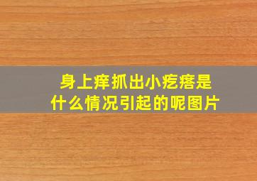 身上痒抓出小疙瘩是什么情况引起的呢图片