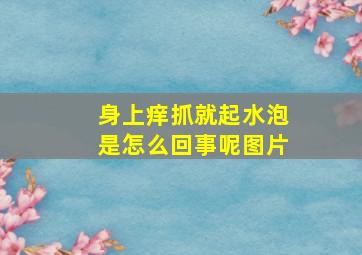 身上痒抓就起水泡是怎么回事呢图片