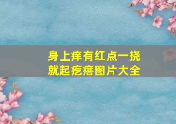 身上痒有红点一挠就起疙瘩图片大全