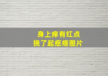 身上痒有红点挠了起疙瘩图片