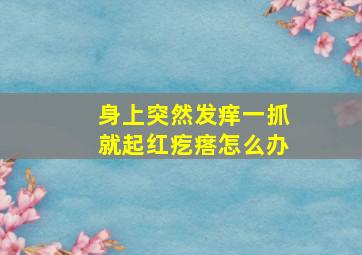 身上突然发痒一抓就起红疙瘩怎么办