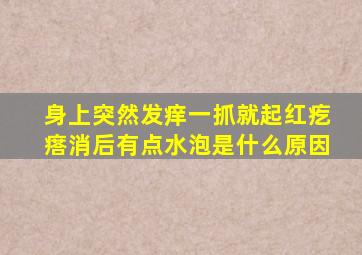 身上突然发痒一抓就起红疙瘩消后有点水泡是什么原因