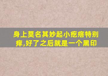 身上莫名其妙起小疙瘩特别痒,好了之后就是一个黑印