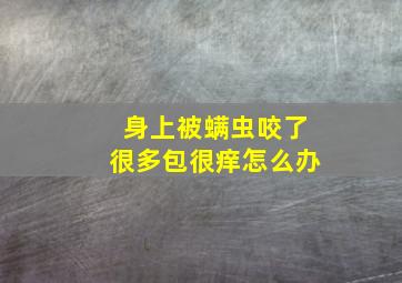 身上被螨虫咬了很多包很痒怎么办