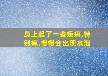 身上起了一些疙瘩,特别痒,慢慢会出现水泡