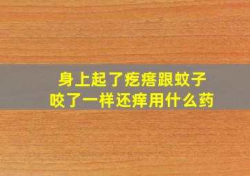 身上起了疙瘩跟蚊子咬了一样还痒用什么药