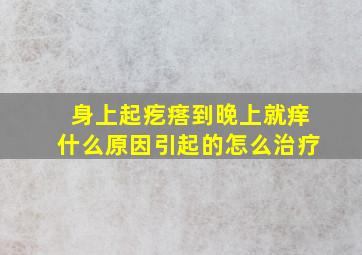 身上起疙瘩到晚上就痒什么原因引起的怎么治疗