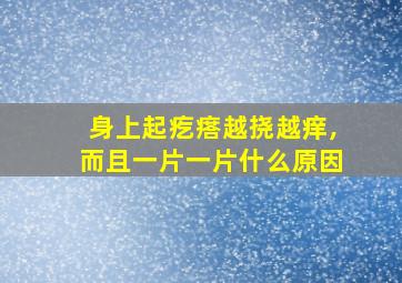 身上起疙瘩越挠越痒,而且一片一片什么原因