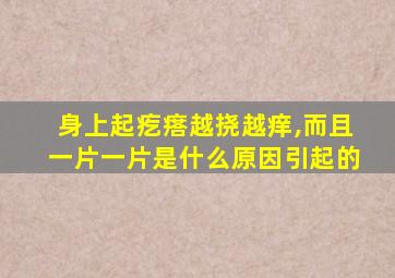 身上起疙瘩越挠越痒,而且一片一片是什么原因引起的